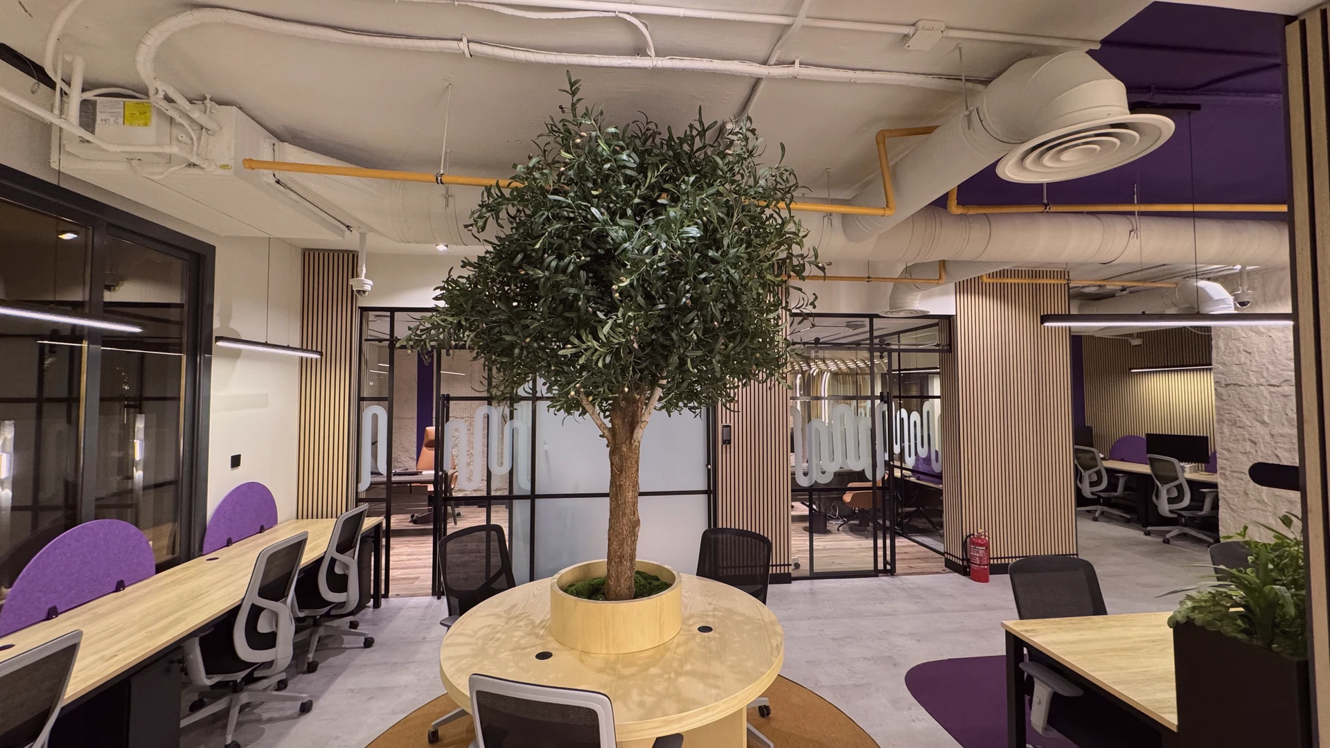 Nayla's office transformation main image
