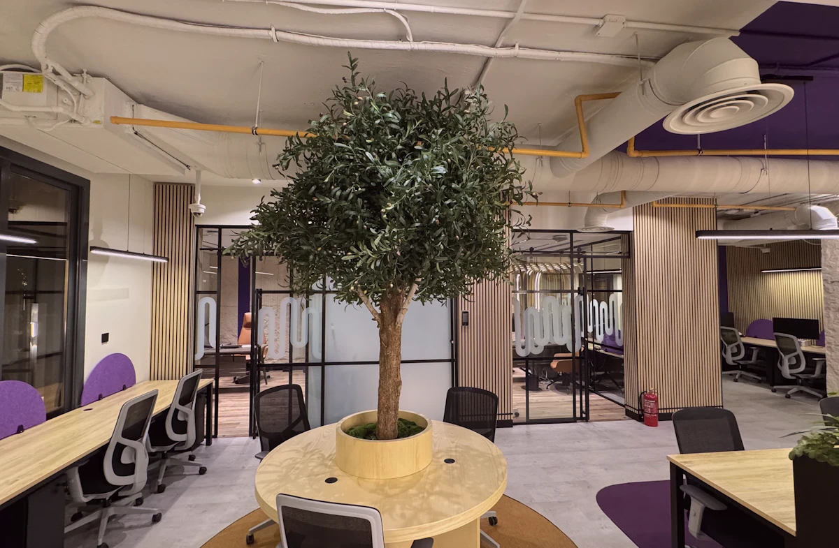 Nayla's office transformation main image